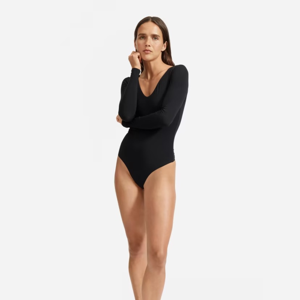 Everlane The Long Sleeve V-Neck Bodysuit